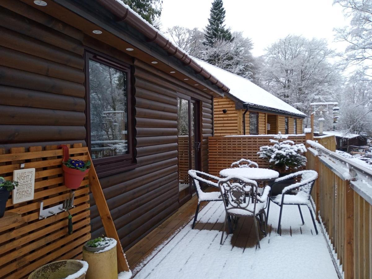 Charming Lodge Cosy Comfortable Ideal Location Blairgowrie and Rattray Eksteriør bilde